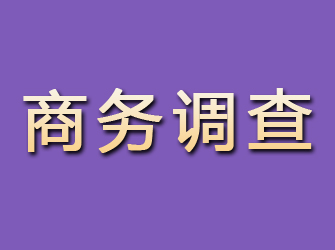 鄂尔多斯商务调查